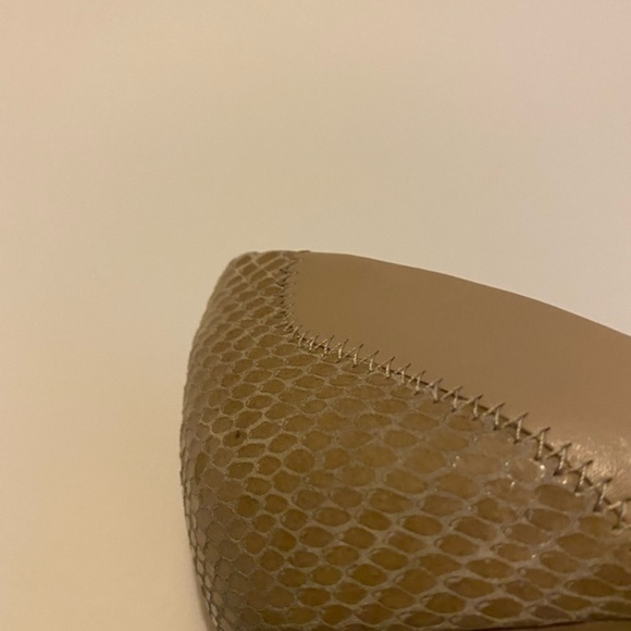 Bebe Heels - Picture 5 of 8